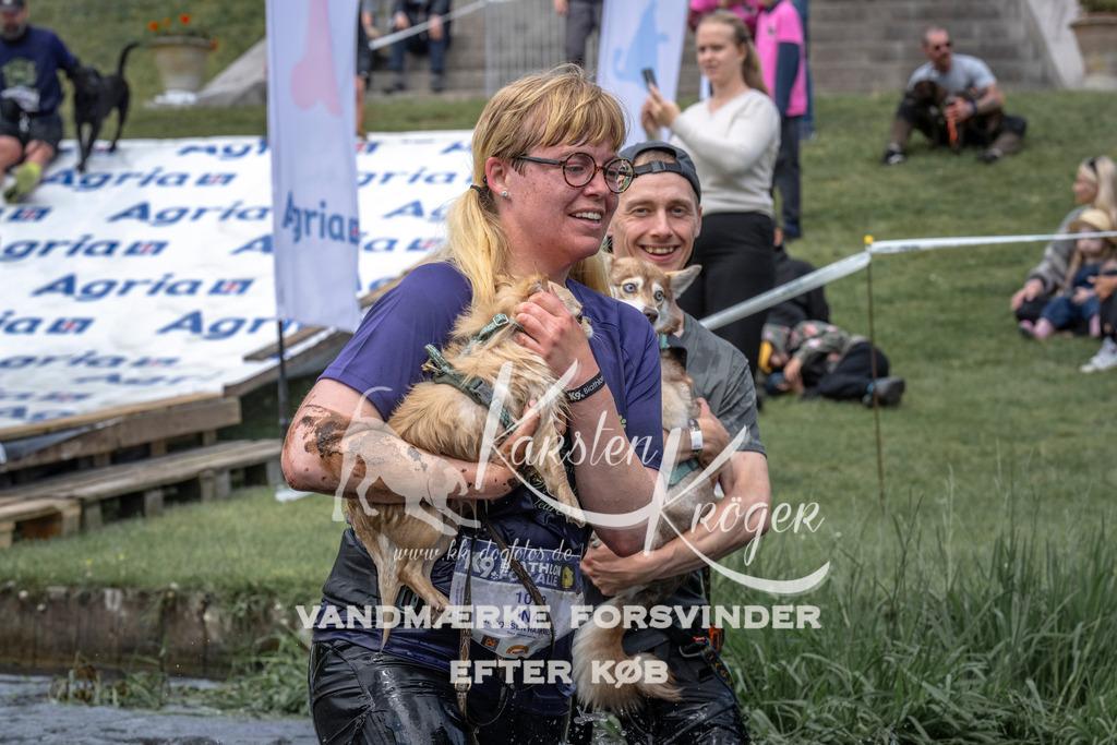 1131_ZZ92786 | kk-dogfotos