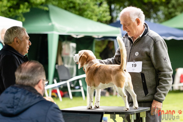 Clubsiegershow BCS  | Clubsiegershow BCS in Villmergen. 14.05.2023 Foto: Leo Wyden