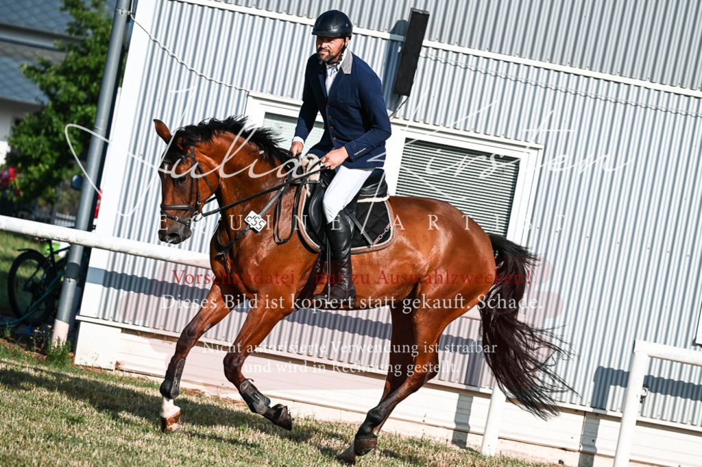 DSC_7407 | Pferde- und Turnierfotografie in Westsachsen. Pferdeportraits, Auftragszeichnungen und intuitive Kunst.