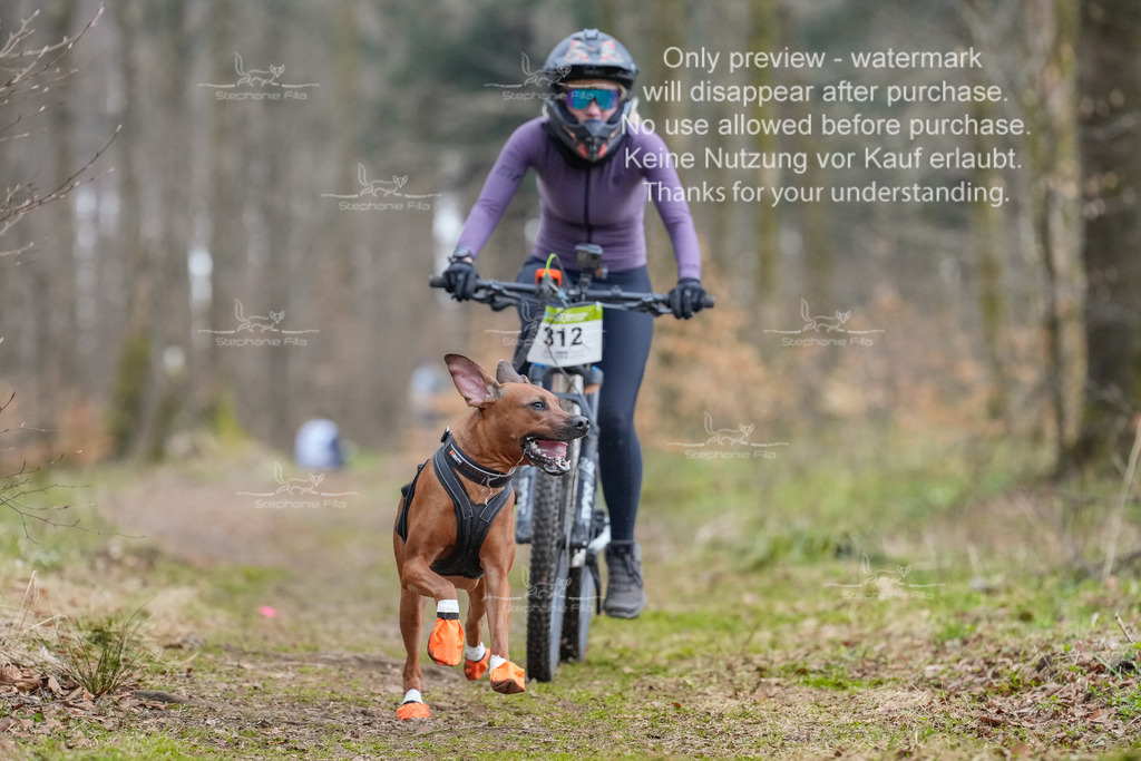 BikekurzSa-129 | stephaniefillaphotographie - Realisiert mit Pictrs.com