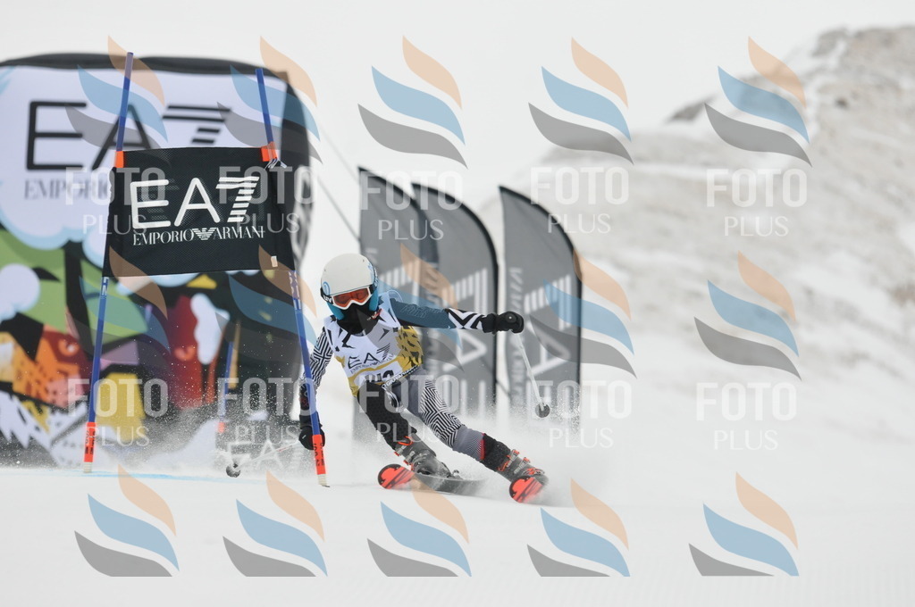 DSC_8373 | holidayphoto