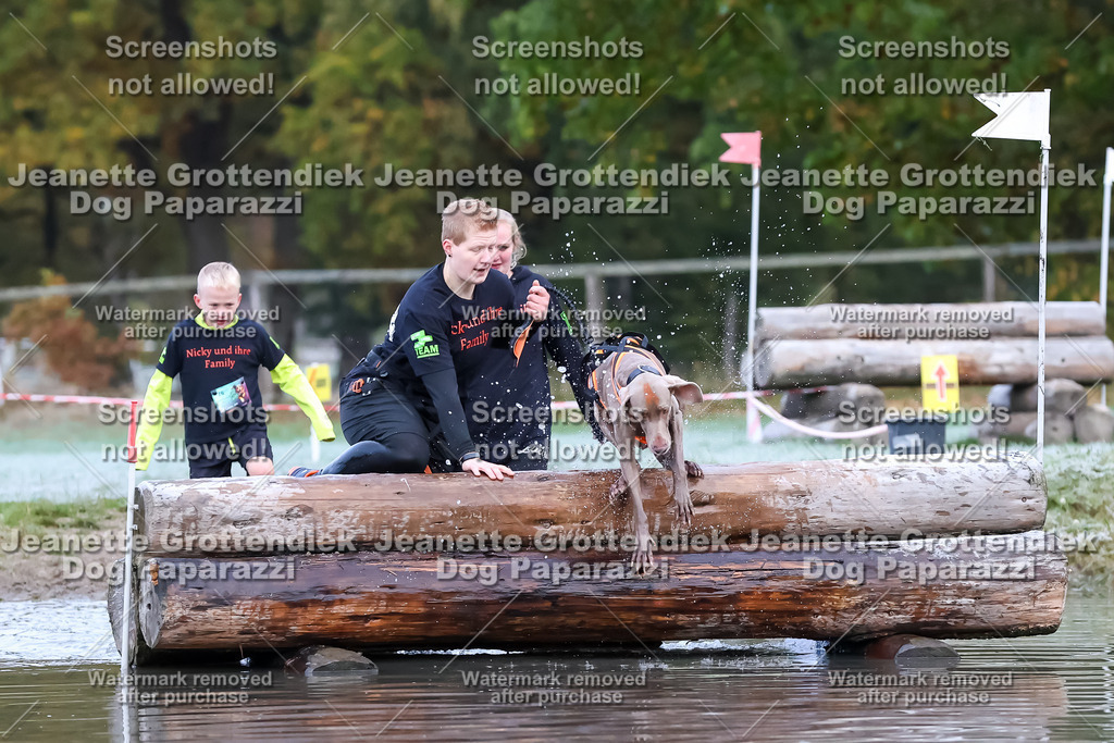 Dog Paparazzi - Strongdog 10-25-6134 | Dog Paparazzi Jeanette Grottendiek Fotografie & Videografie - Realisiert mit Pictrs.com