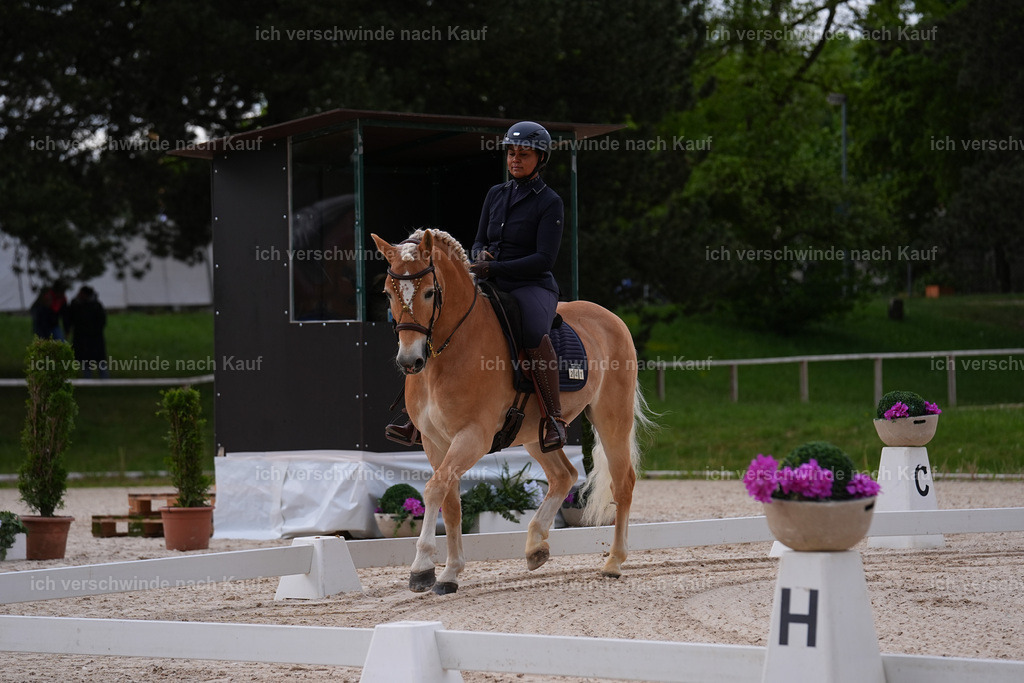 PI26_DR_241_Stoibphotography_SIN05972.jpg | working equitationturnier fotograf videograf stoibphotography marixx film working equitation deutschland reitsport turnierfotografie eventfotografie equestrian events