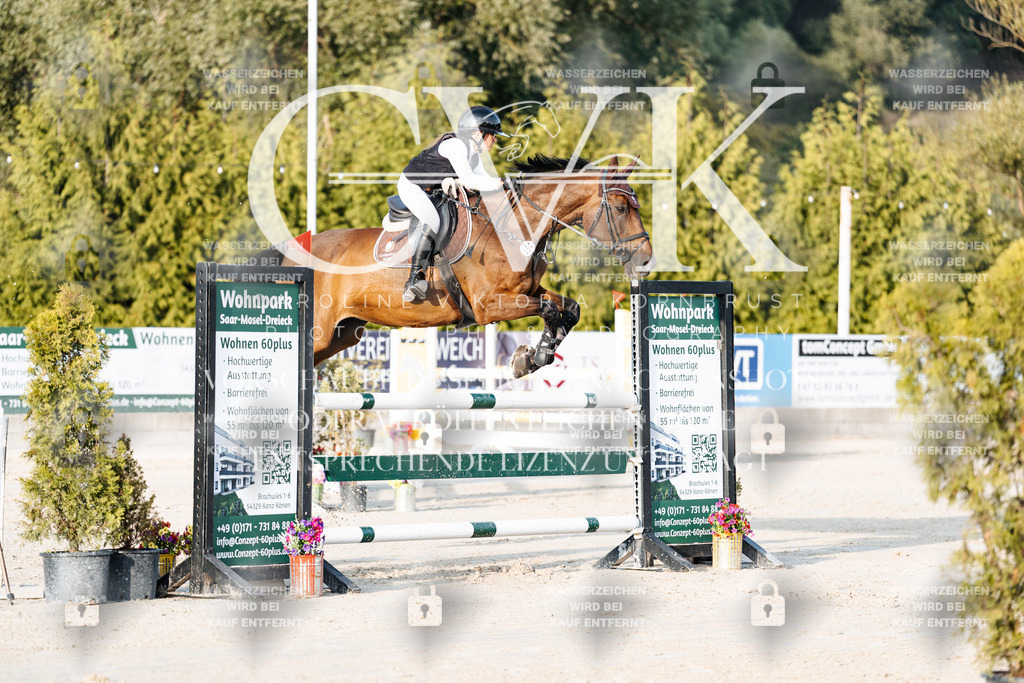 CK900715 | Turnierfotografie Pferdefotografie Trier Rheinland-Pfalz Pferdesport Reitsport Tierfotografie Sportfotografie Pferdevideo Pferdevideografie Equestrianvideography equestrianphotography  - Realisiert mit Pictrs.com