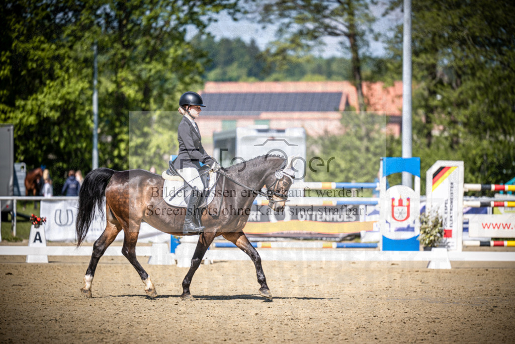 DOS_1173 | Reitturnier Venne - Realisiert mit Pictrs.com