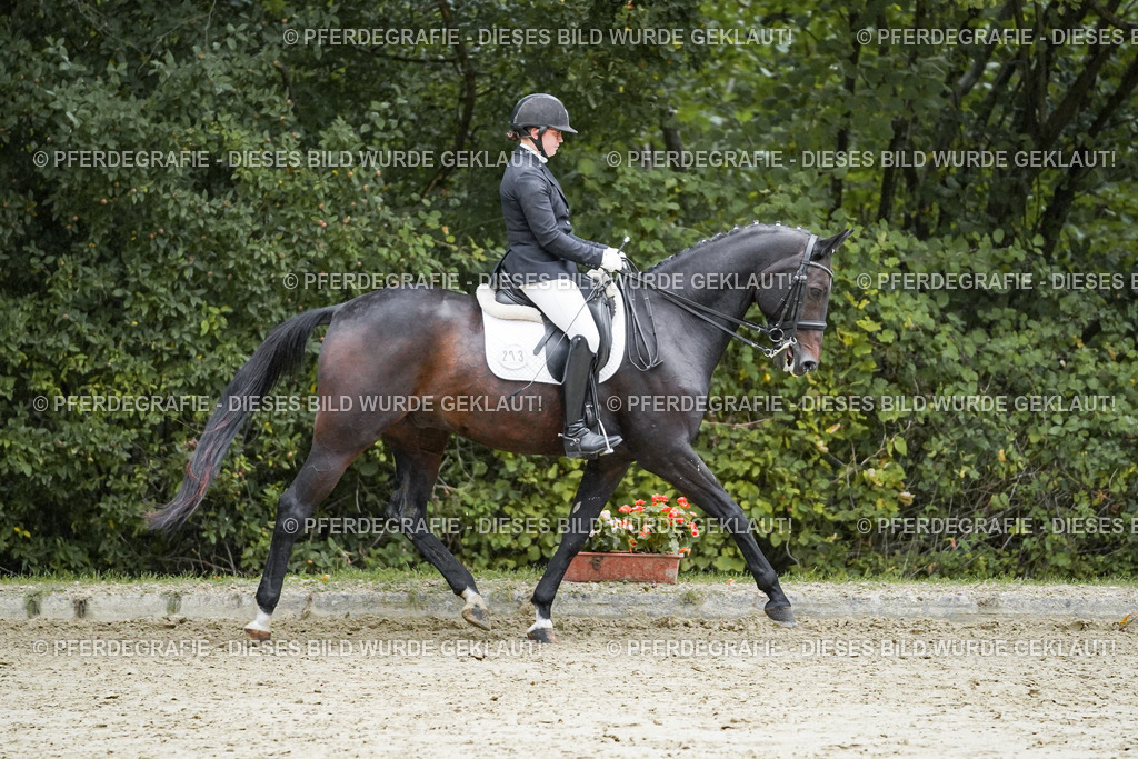 DSC00396 | Pferdegrafie