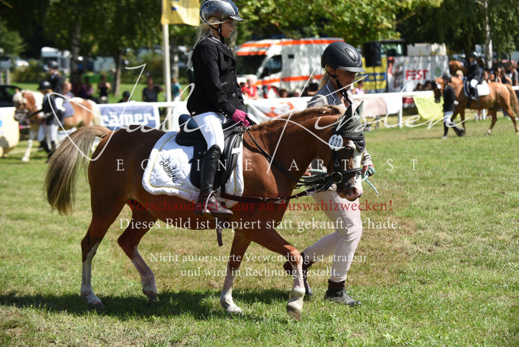 DSC_9703 | Pferde- und Turnierfotografie in Westsachsen. Pferdeportraits, Auftragszeichnungen und intuitive Kunst.