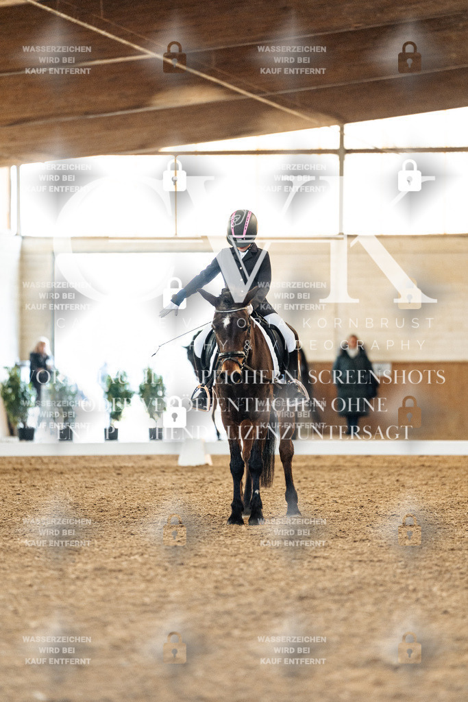 CK907228 | Turnierfotografie Pferdefotografie Trier Rheinland-Pfalz Pferdesport Reitsport Tierfotografie Sportfotografie Pferdevideo Pferdevideografie Equestrianvideography equestrianphotography  - Realisiert mit Pictrs.com