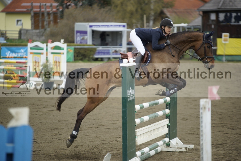 _DSC7175 | equestrian-live-com