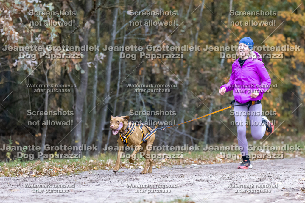 Dog Paparazzi - SD CaniX Championship 2025-100 | Dog Paparazzi Jeanette Grottendiek Fotografie & Videografie - Realisiert mit Pictrs.com