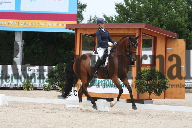 Weilheim_2023_Prfg.Nr.12_Dressur_Kl.M_Anna Casper_Birkhof_s Zimtstern FBW (7) | Alle Fotos der Reiterjournal Fotografin Doris Matthaes im Reiterjournal Online-Fotoshop. - Realizado com Pictrs.com