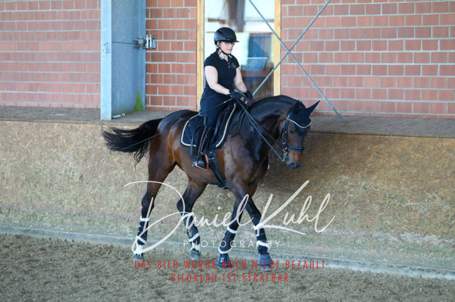 DKP42535 | Turniersportfotografie; Pferdefotografie; Dressurfotografie