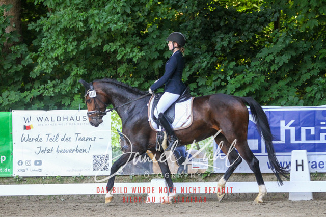 DKP42968 | Turniersportfotografie; Pferdefotografie; Dressurfotografie