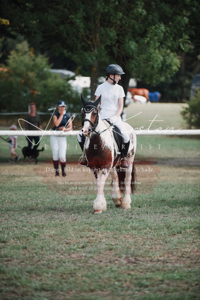 DSC_5582 | Pferde- und Turnierfotografie in Westsachsen. Pferdeportraits, Auftragszeichnungen und intuitive Kunst.