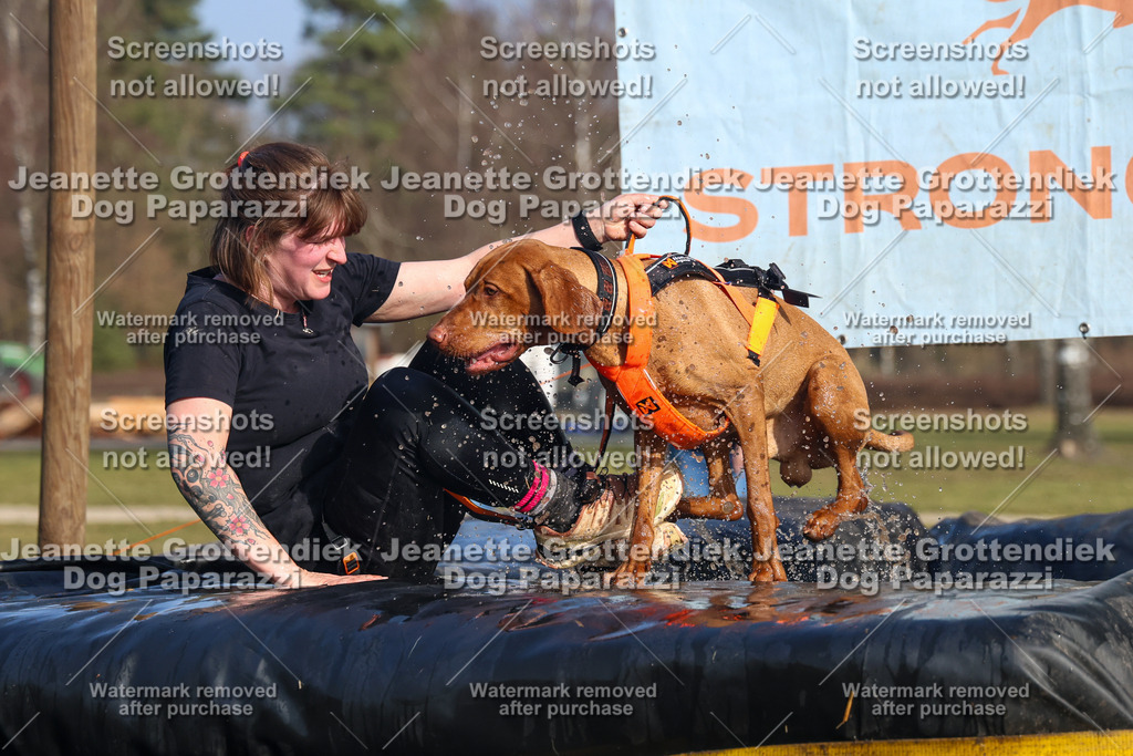 Dog Paparazzi - Strongdog North Mrz26-3387 | Dog Paparazzi Jeanette Grottendiek Fotografie & Videografie - Realisiert mit Pictrs.com