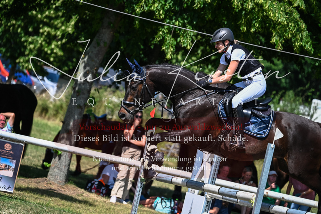 DSC_1113 | Pferde- und Turnierfotografie in Westsachsen. Pferdeportraits, Auftragszeichnungen und intuitive Kunst.