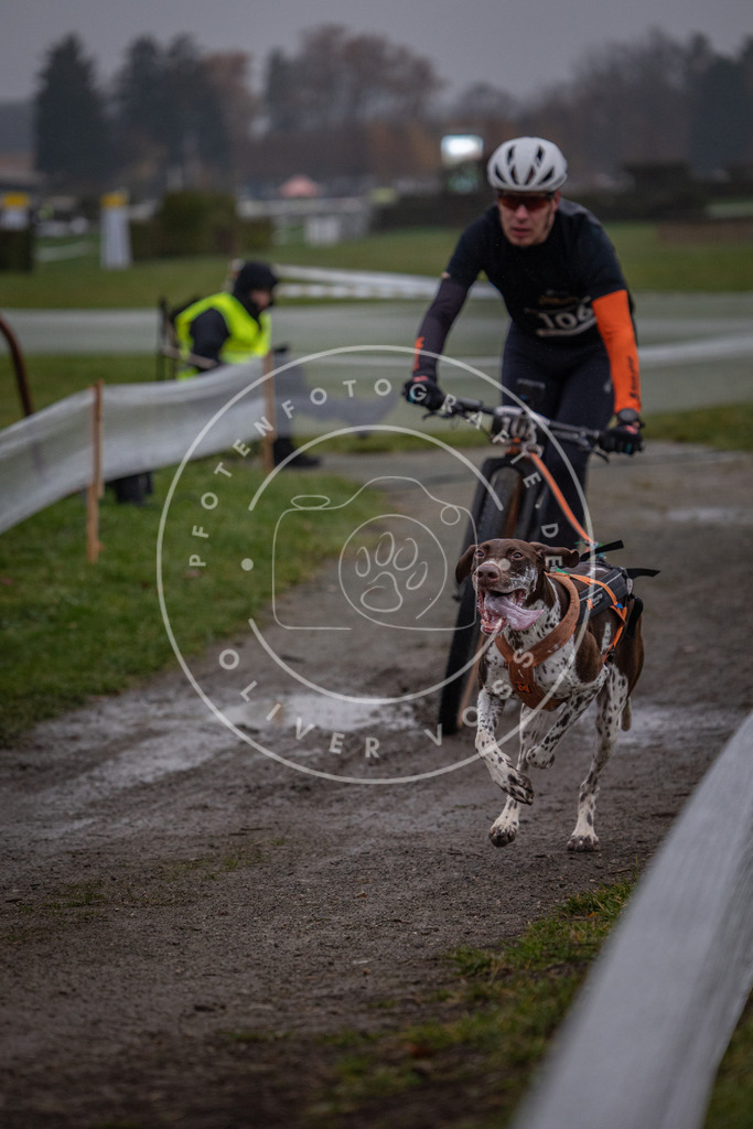 CaniXpix_0L8A0405 | Hundefotografie, Tierfotograf, Pfotenfotografie, Fotoshooting Hund, Hunde Portrait, Hundesport, Hundeportraits, Heideshooting, Hunde, Sportfotograf, Hundefotograf, Turnierhundsport, THS,  - Realisiert mit Pictrs.com