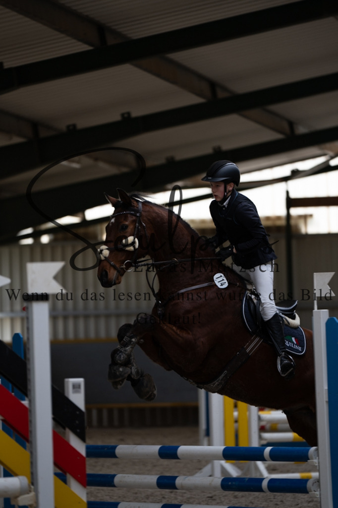 A7V04052 | Pferdefotograf