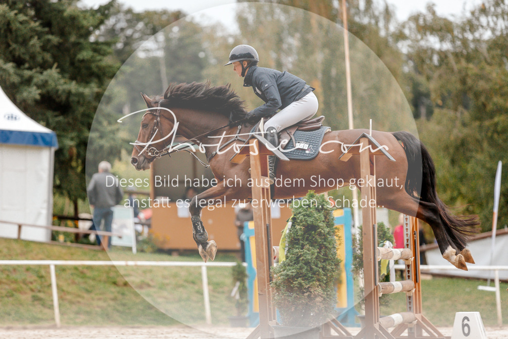 3I6A5782 | Stimmungsvolle Portraits und Reitsportfotografie im Ruhrgebiet und im Münsterland.

Pferdefotografie, Hundefotografie, Tierfotografie, Reportagen, Portraits von Tier und Mensch, Turnierfotografie in Bochum, Recklinghausen, Marl, Haltern am See, Dülmen.. - Realisiert mit Pictrs.com