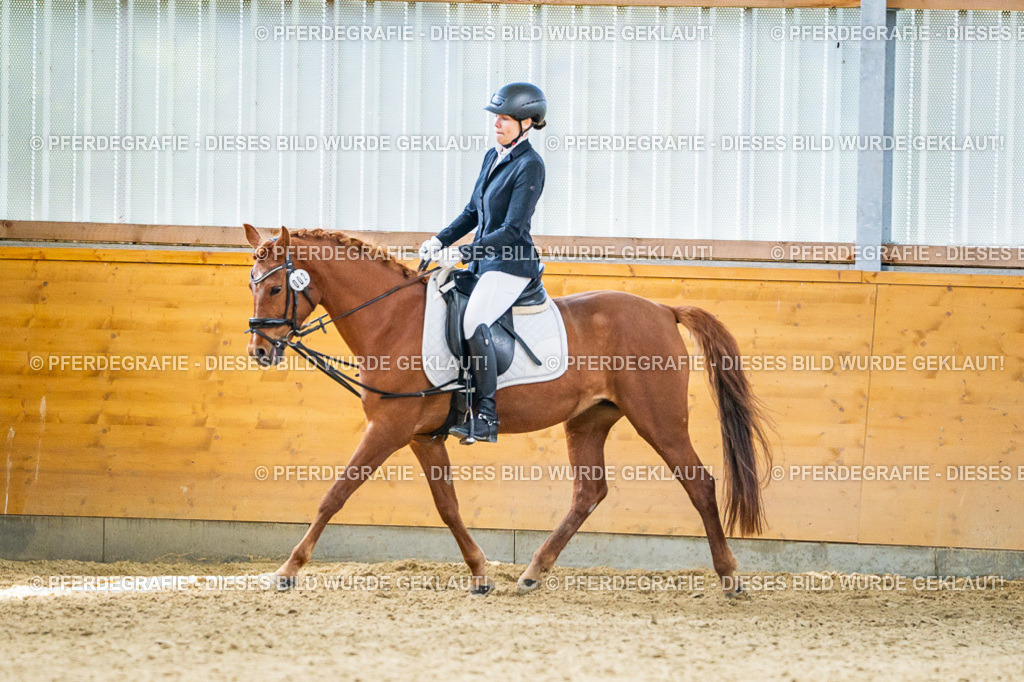 DSC03926 | Pferdegrafie