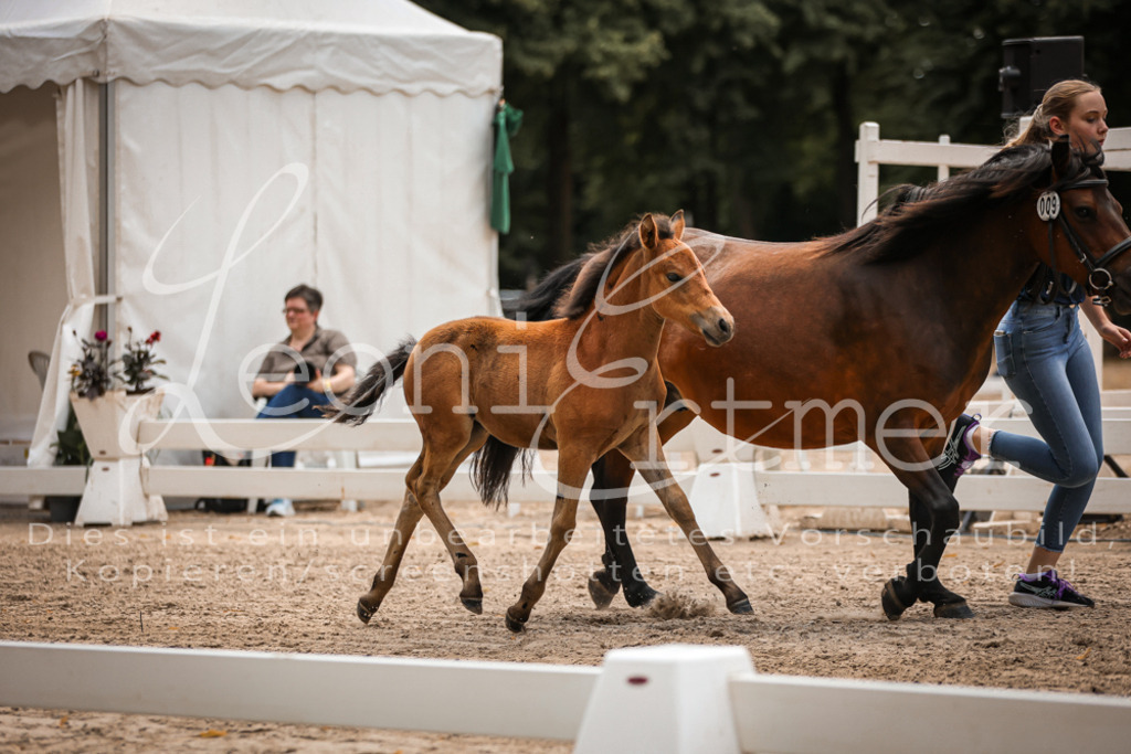 02.DoSR00076 | Leoni Ertmer Photography - Realisiert mit Pictrs.com