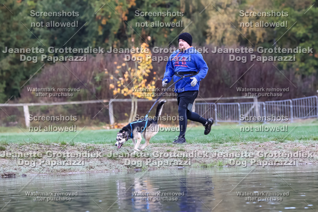 Dog Paparazzi - Strongdog 10-25-6646 | Dog Paparazzi Jeanette Grottendiek Fotografie & Videografie - Realisiert mit Pictrs.com