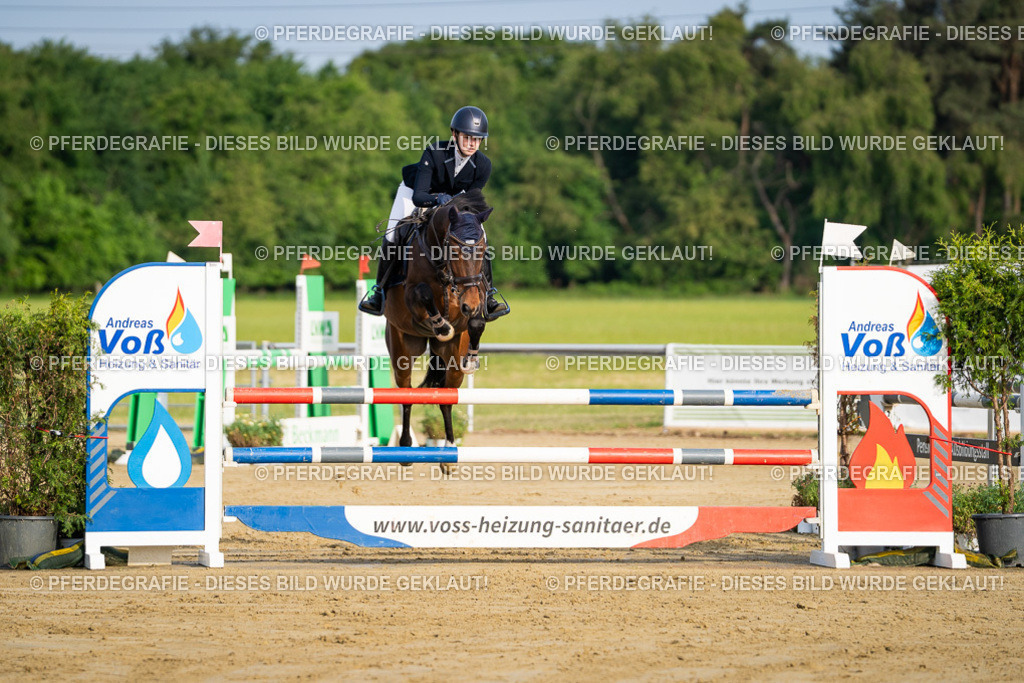 DSC02598 | Pferdegrafie