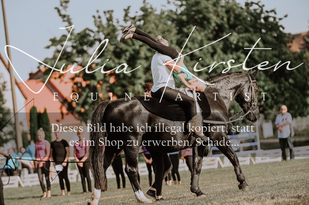 DSC_9998 | Pferde- und Turnierfotografie in Westsachsen. Pferdeportraits, Auftragszeichnungen und intuitive Kunst.
