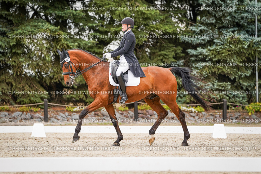 DSC07499 | Pferdegrafie