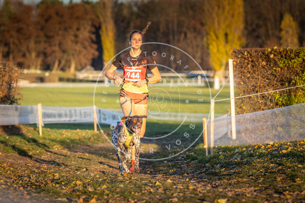 CaniXpix_DV3A5429 | Hundefotografie, Tierfotograf, Pfotenfotografie, Fotoshooting Hund, Hunde Portrait, Hundesport, Hundeportraits, Heideshooting, Hunde, Sportfotograf, Hundefotograf, Turnierhundsport, THS,  - Realisiert mit Pictrs.com