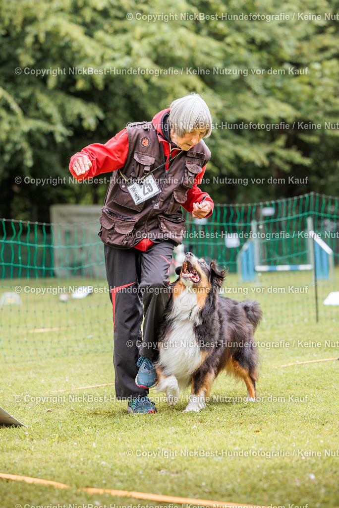 RO-Blumenthal-2026-Nickbest-Hundefotografie-2248 | Dein Hund! Dein Moment! Deine Erinnerungen! Hundefotografie in Bremen Blumenthal. Ich fange die besonderen Momente deines Vierbeiners ein – ob Indoor mit Blitzanlage oder in der freien Natur. Sicher dir dein Moment und dein Termin für eure Erinnerungen.