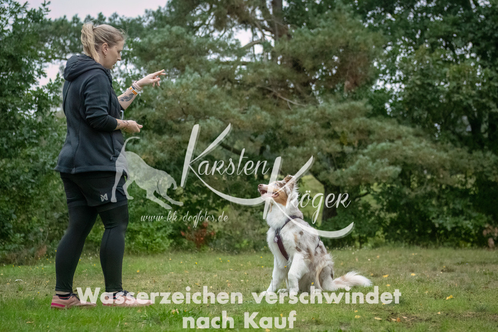 0924_ZZ90337-Bearbeitet | kk-dogfotos