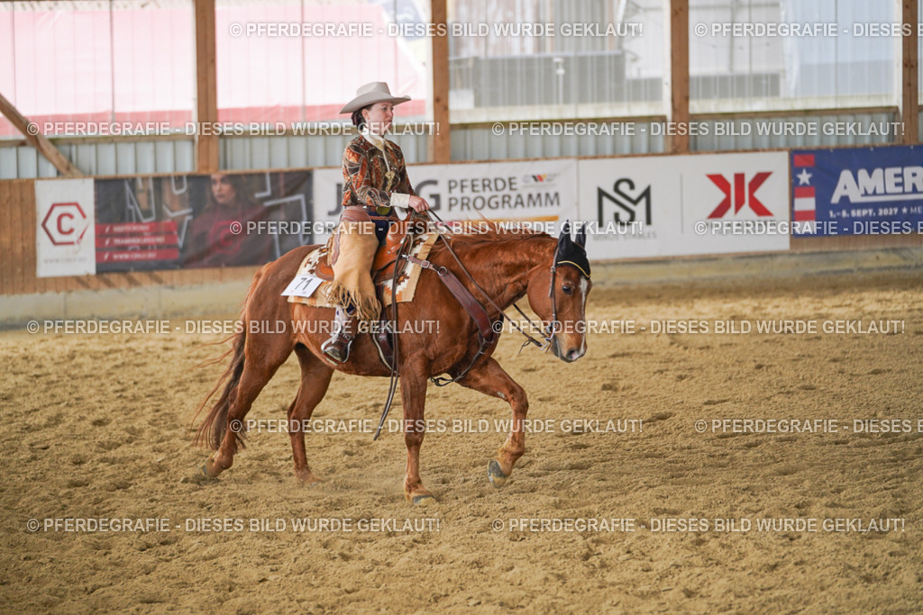 DSC04867 | Pferdegrafie