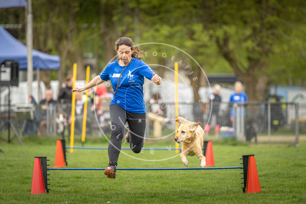 Pfotenfotografie_DV3A0768 | Hundefotografie, Tierfotograf, Pfotenfotografie, Fotoshooting Hund, Hunde Portrait, Hundesport, Hundeportraits, Heideshooting, Hunde, Sportfotograf, Hundefotograf, Turnierhundsport, THS,  - Realisiert mit Pictrs.com