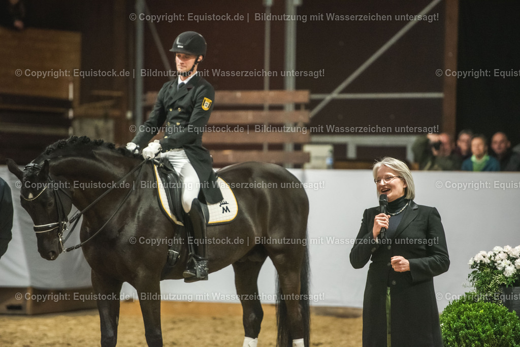 20240302_Hengstvorstellung_Marbach_TOMsPiC_1574 | equistock