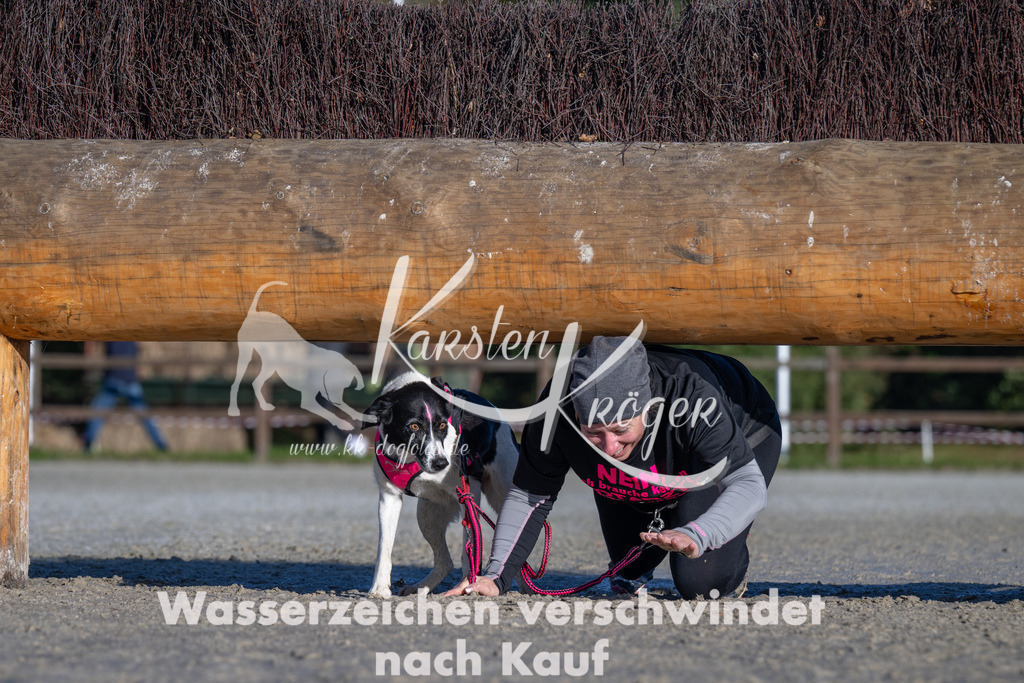 1038-_ZZ91918 | kk-dogfotos
