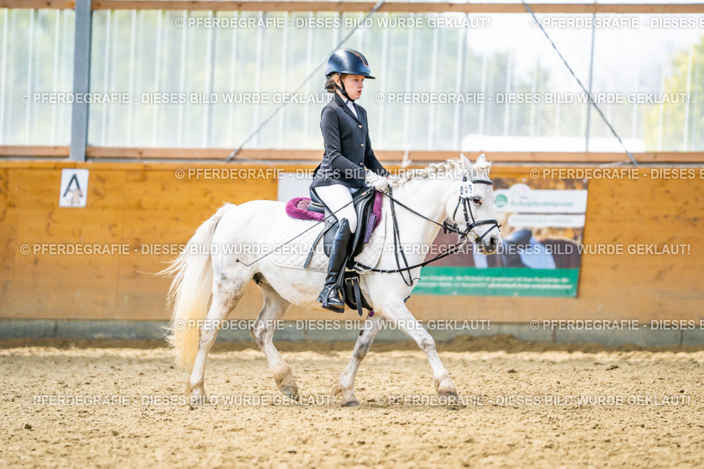 DSC04959 | Pferdegrafie