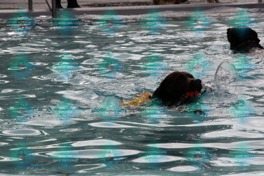 _HP_7579_1000o | HetPix, HetPix Fotodesign, Fotografie, Fotodesign, Webshop, Sportfotografie, Portraitfotografie, Onlineshop, Sportfotografie, Polch, Motorsportfotografie, Eventfotografie