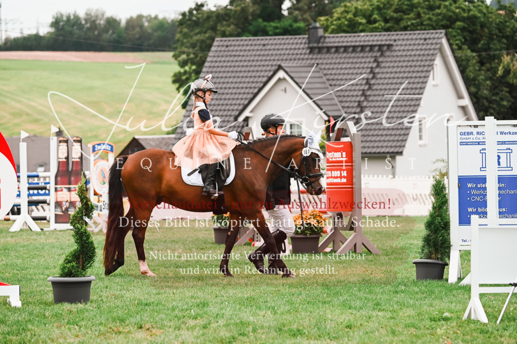 DSC_7371 | Pferde- und Turnierfotografie in Westsachsen. Pferdeportraits, Auftragszeichnungen und intuitive Kunst.