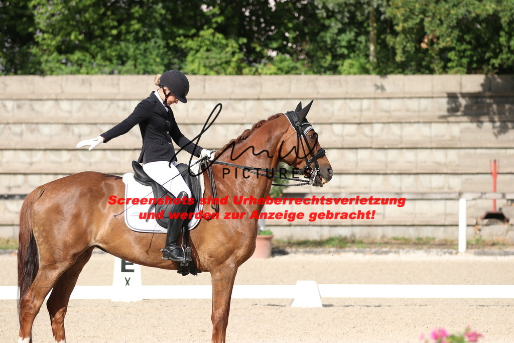 IMG_6280 | lmwpictures - Realisiert mit Pictrs.com