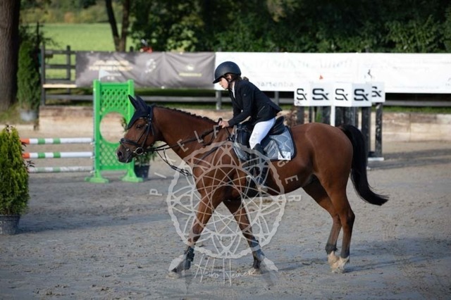 2B4A3970 | pixelfaenger - Realisiert mit Pictrs.com