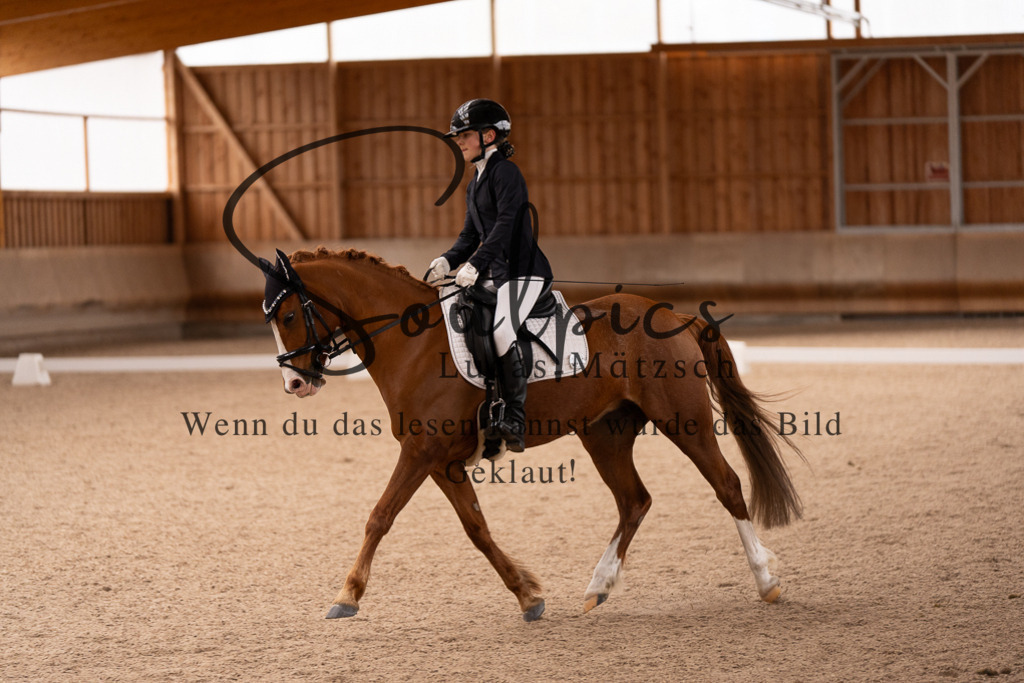 A7507012 | Turnier/Reitfotograf