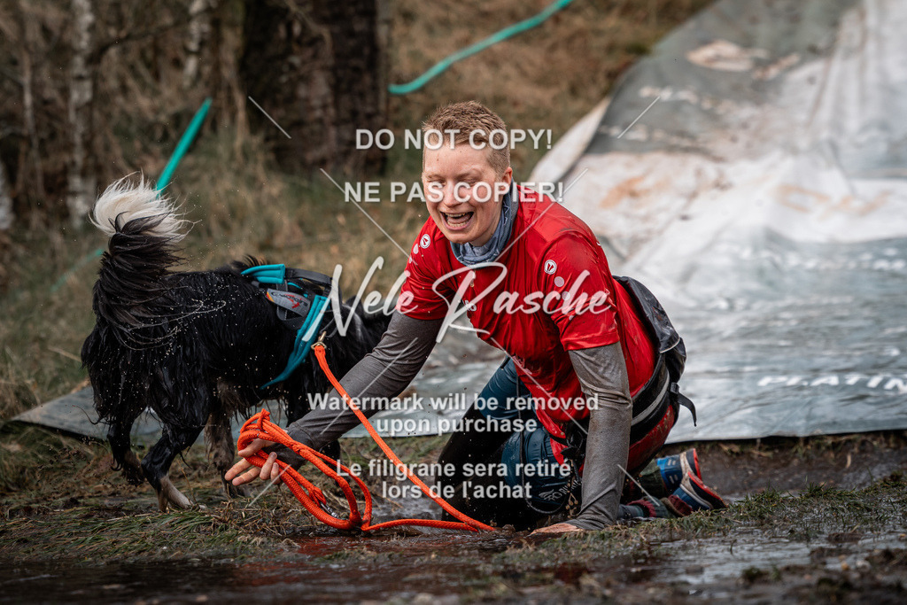 nelerasche_1330-1400_202 | nelerasche
