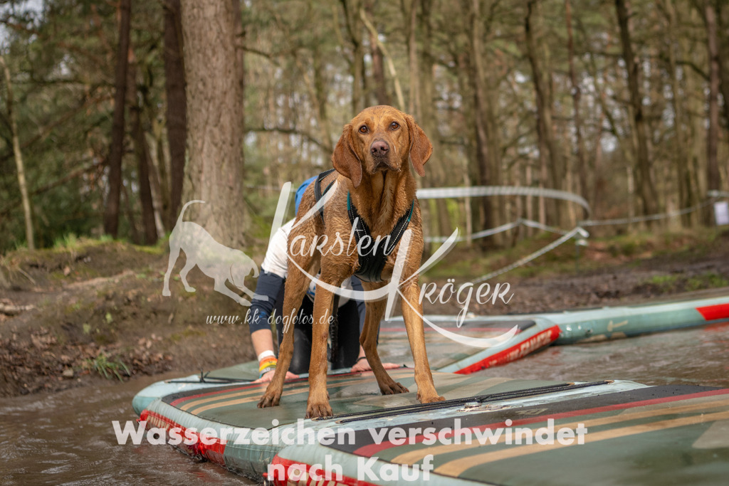 1011_ZZ92871 | kk-dogfotos