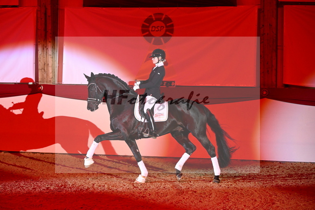 DSP Dream Royal_Arturi_2255191 | hf-fotografie - Realisiert mit Pictrs.com