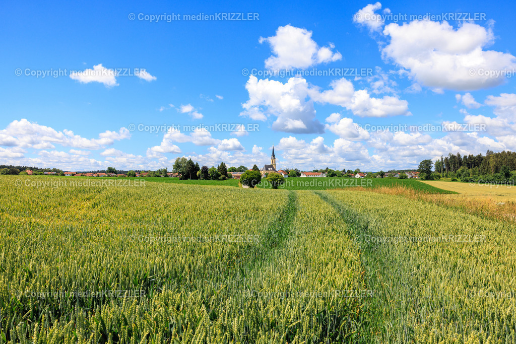 Peterskirchen | medienkrizzler - Realisiert mit Pictrs.com