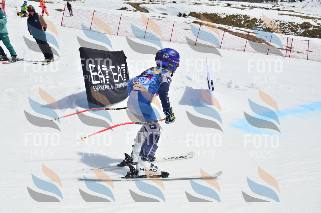 _ELE1555 | holidayphoto