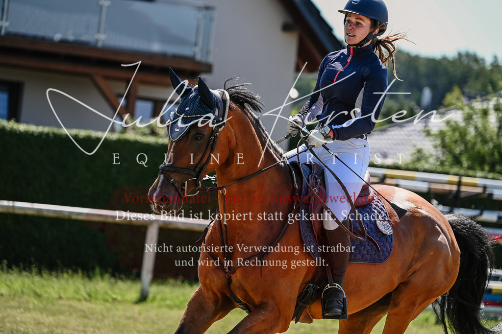 DSC_1361 | Pferde- und Turnierfotografie in Westsachsen. Pferdeportraits, Auftragszeichnungen und intuitive Kunst.