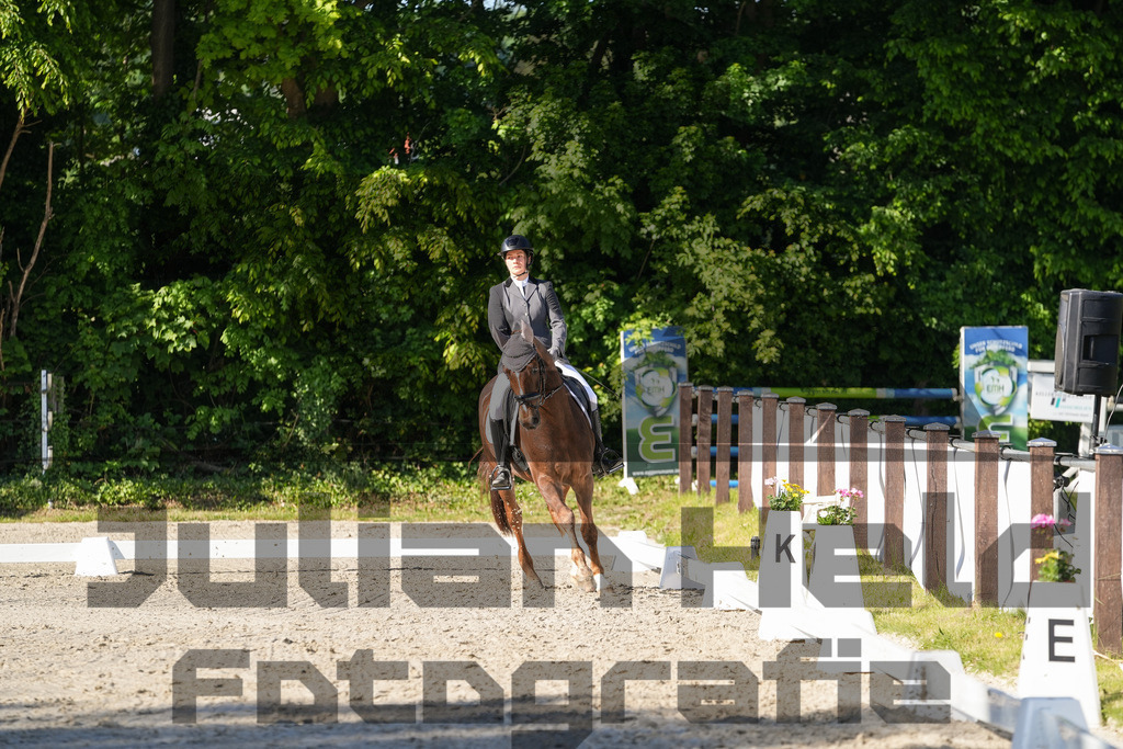 DSC00805 | Julian Held Fotografie - Realisiert mit Pictrs.com