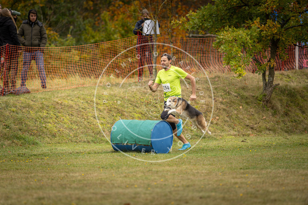 Pfotenfotografie_DV3A5659 | Hundefotografie, Tierfotograf, Pfotenfotografie, Fotoshooting Hund, Hunde Portrait, Hundesport, Hundeportraits, Heideshooting, Hunde, Sportfotograf, Hundefotograf, Turnierhundsport, THS,  - Realisiert mit Pictrs.com